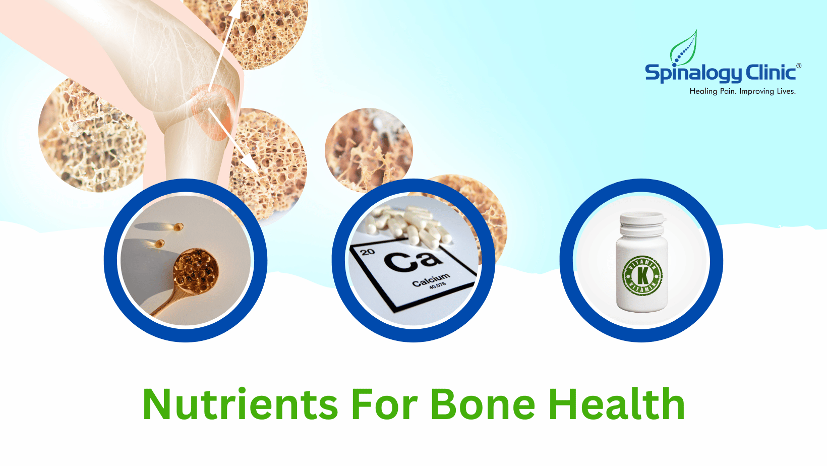 Nutrients For Bone Health